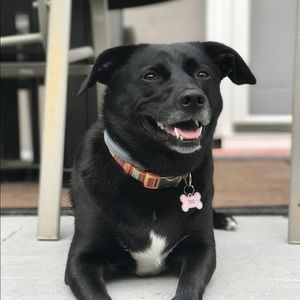 Meet your Posher, Tyler